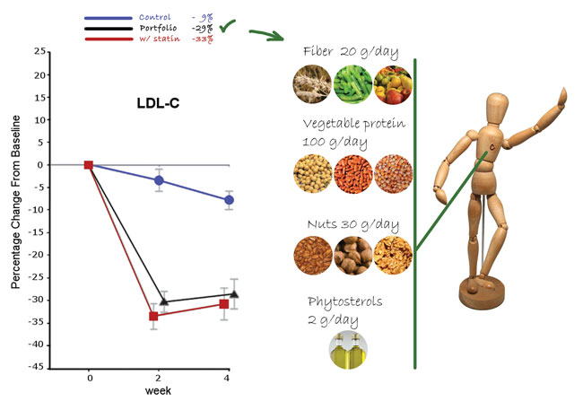 Nutrifoods 2.0: The impetus towards functional foods and nutraceuticals to face the 21st century
