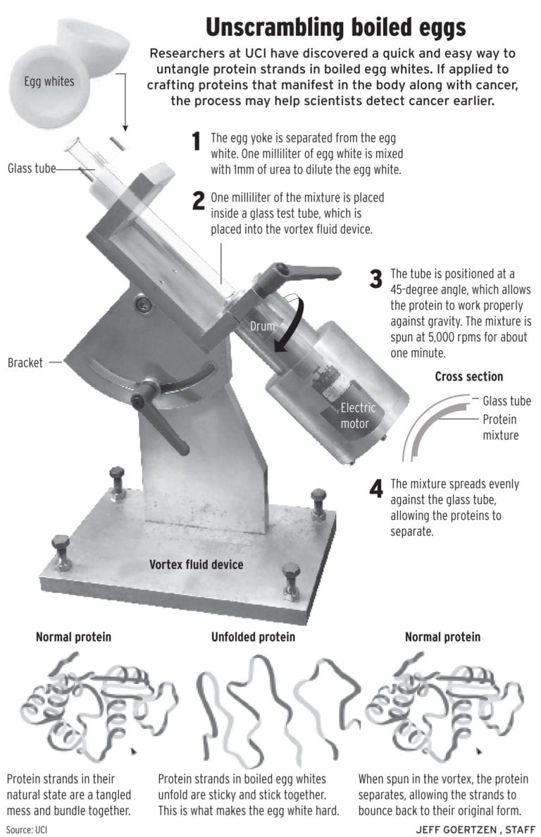 Los científicos han encontrado un método para ‘descocer’ un huevo