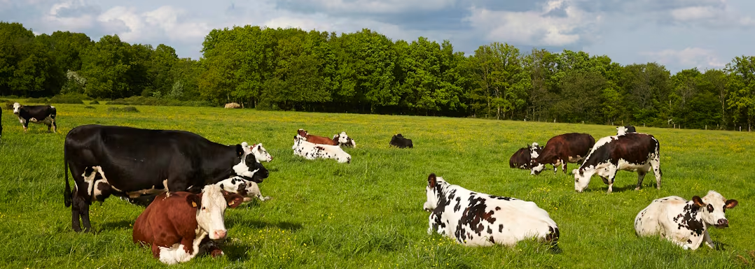 Innovating to achieve net zero across Europe